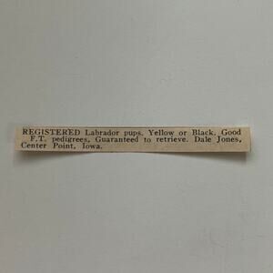 Registered Labrador Pups Yellow Or Black Center Point IA 1966 Ad SAH2-S11
